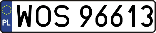 WOS96613