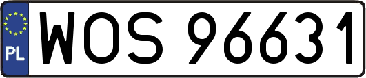 WOS96631