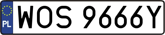 WOS9666Y