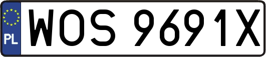 WOS9691X