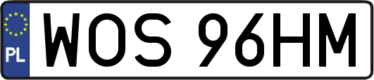 WOS96HM