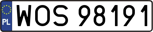 WOS98191