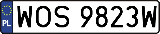 WOS9823W