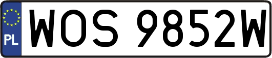 WOS9852W