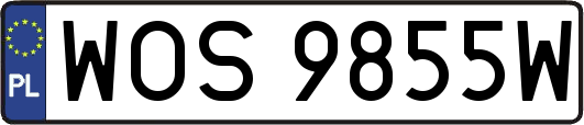 WOS9855W
