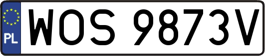 WOS9873V