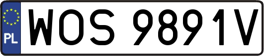 WOS9891V