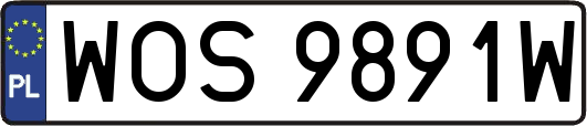 WOS9891W