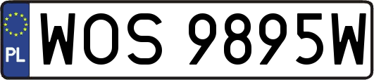WOS9895W