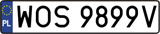 WOS9899V