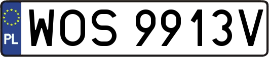 WOS9913V