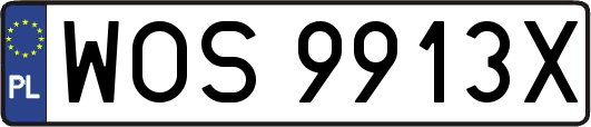 WOS9913X