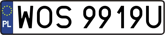 WOS9919U