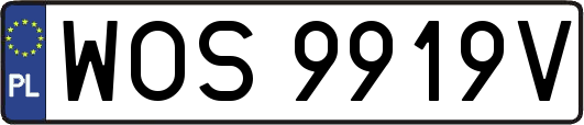 WOS9919V