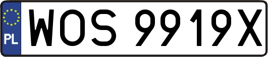 WOS9919X