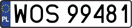 WOS99481