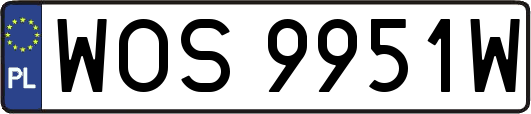 WOS9951W