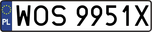 WOS9951X