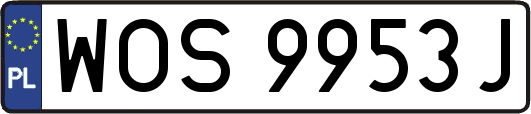 WOS9953J