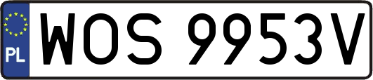 WOS9953V