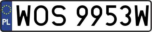 WOS9953W
