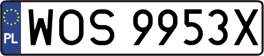 WOS9953X