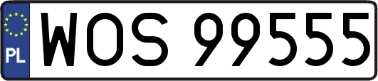 WOS99555