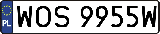 WOS9955W