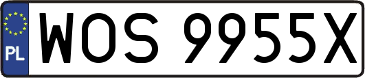 WOS9955X