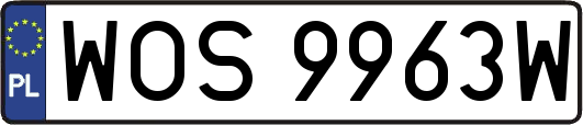 WOS9963W