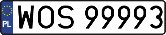 WOS99993
