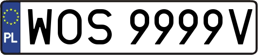 WOS9999V