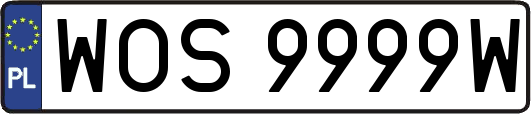 WOS9999W