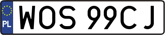 WOS99CJ