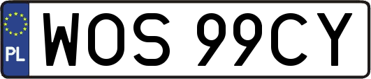 WOS99CY