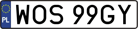 WOS99GY