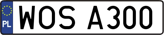 WOSA300