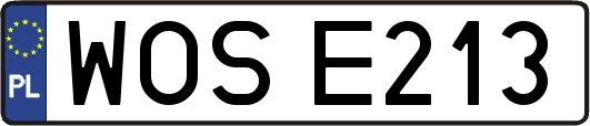 WOSE213