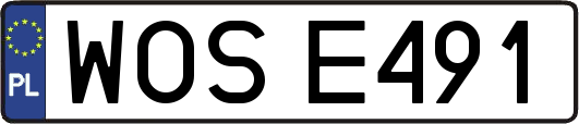 WOSE491