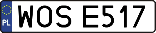 WOSE517