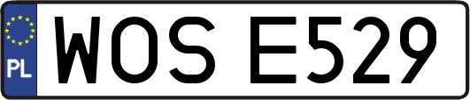 WOSE529
