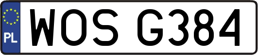 WOSG384