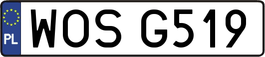 WOSG519