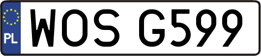 WOSG599