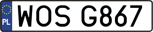 WOSG867