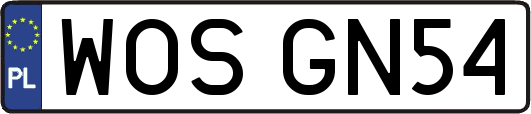 WOSGN54