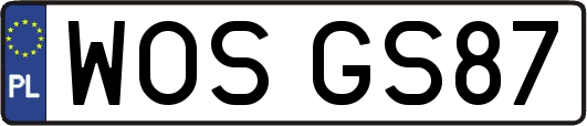 WOSGS87