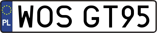 WOSGT95