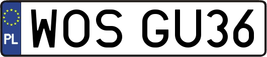 WOSGU36