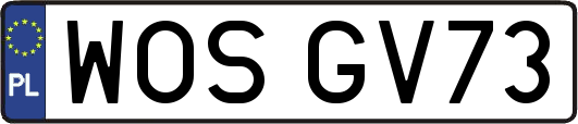 WOSGV73